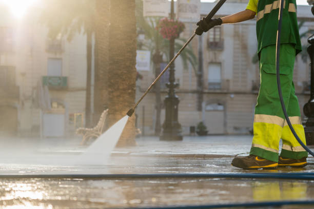 Best Roof Washing  in Foresthill, CA